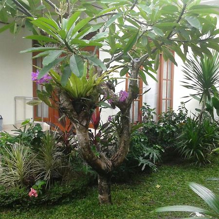 Jepun Bali Homestay Sanur 외부 사진