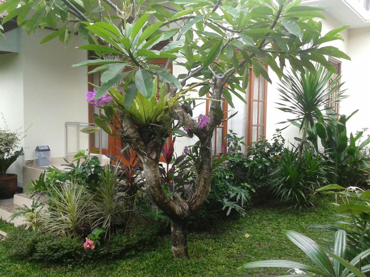 Jepun Bali Homestay Sanur 외부 사진